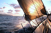 Lake Geneva Sailing